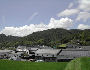 Marumoto Brewery